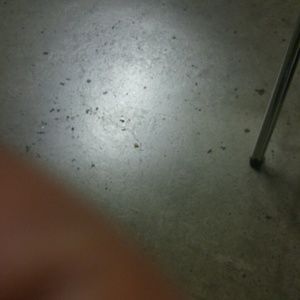 Meet your Posher, Jerome